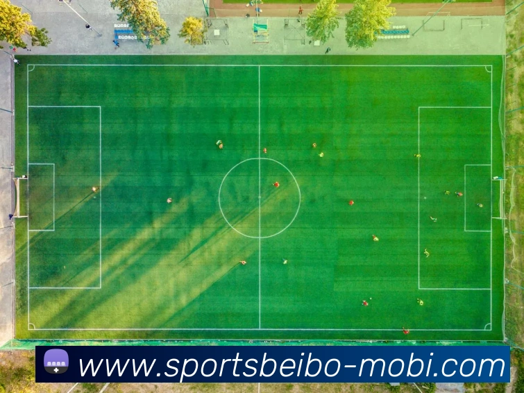 贝博体育APP 封面图